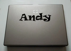 1 x Personalised Name Sticker for Laptops Vinyl Decal Ravie Font kids childs - Picture 1 of 3