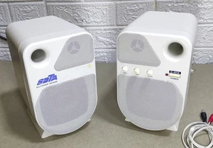 Große Lautsprecher für Retro PC Computer Vintage Audio Stereo 2 Wege - Bild 1 von 9
