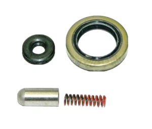Reparación de bolas de retención de cambio de carrocería de válvula Dodge con sellos 727 904 46RE 48RE Jeep Ram - Imagen 1 de 3