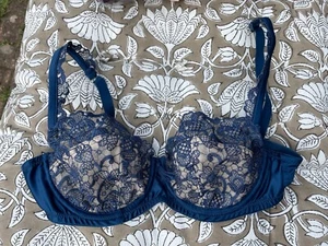 Masquerade Blue Lace Silk Bra 32d Nwot Sexy Balcony - Picture 1 of 4