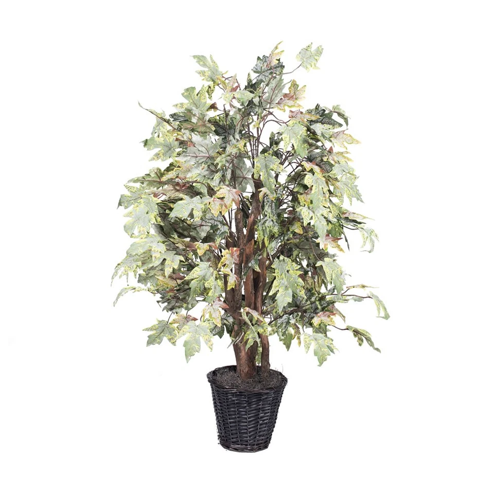 Vickerman 4' Arce Esmerilado Extra Completo - TXX1740 Foto 1 de 1