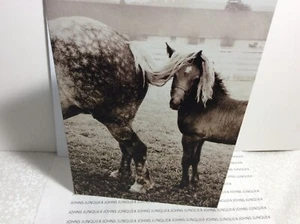 AVANTI ENCOURAGEMENT GREETING CARD AMERICA New w/Envelope "I'm behind you all.." - Picture 1 of 3