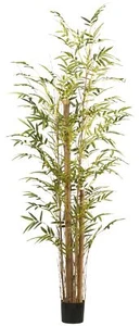 Bambù Vulgaris Ca 220cm Verde, Im Pot Plastica Nero 17x14,5cm Pianta Finta - Foto 1 di 1