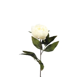 3er Pack Kunstseide Eternity Pfingstrose Stiele 63 cm/25 cm Creme - Bild 1 von 1