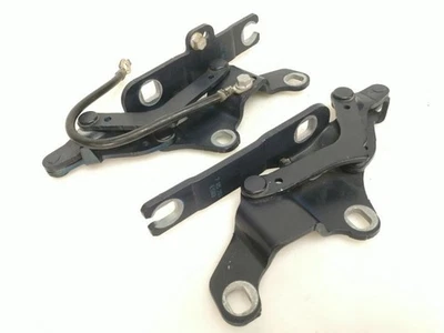 BMW 328xi 328i 335xi 335i E92 E90 2009 juego de bisagras tapa maletero, azul Mónaco OEM Foto 1 de 4