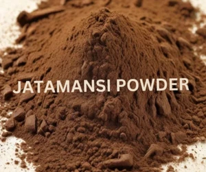 ORGANIC Jatamansi RAW Powder (Nardostachys jatamansi (Spikenard) - Picture 1 of 3