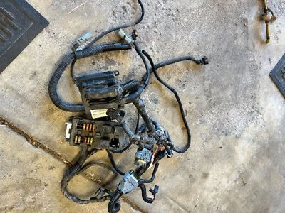 2005 Ski Doo Summit 1000 Wire Harness Foto 1 de 4
