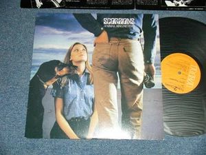 SCORPIONS Japan 1980 NM LP ANIMAL MAGETISM - Picture 1 of 6
