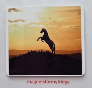 REARING HORSE AT SUNRISE / SUNSET PHOTO FRIDGE MAGNET - M21 F - Picture 1 of 1