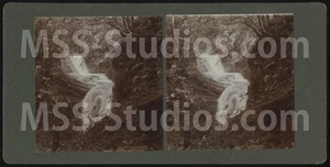 Unknown Waterfall in Wales (Antique Stereoview Stereoscope) - Picture 1 of 2