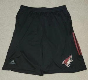 Arizona Coyotes NHL Adidas L Black Workout Training Shorts - Picture 1 of 5