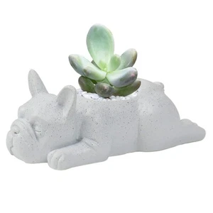 Small Dog Resin Plant PotFrench Bulldog Succulent Planter Potfor Indoor Cute ... - Picture 1 of 8
