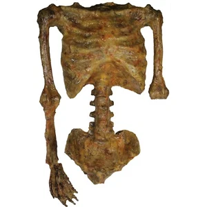 Frightgeist Phil" Life-Size Emaciated Corpse Skeleton Prop | Halloween 2025 - Picture 1 of 19