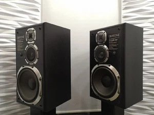 Par de altavoces DIATONE DS-66EXV mantenimiento completado desde Japón - Imagen 1 de 14
