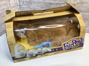 Fell Real Friends Katze weiß orange selten Hasbro interaktive Animatronics neu im Karton Rarität - Bild 1 von 7