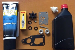 Annual SERVICE KIT + OILS 4HP 5HP 6HP Suzuki DF4 DF5 DF6 Outboard CPR6EA-9 PLUG - Picture 1 of 1