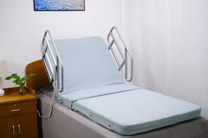Electric Single Mattress With Adjustable Backrest With Side Rails - Picture 1 of 9