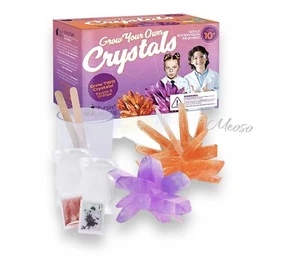 Crystal Growing Science Kits Purple Ladybug for Kids Age 10 + - Birthday Gift - Picture 1 of 8