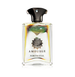 Amouage Portrayal Man 100ml EDP - Picture 1 of 5