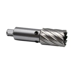 Toma de extensión de cortador anular de 75 mm con vástago universal Weldon - Imagen 1 de 7