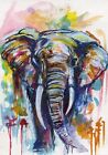ACEO Original Graffiti Art Card African Elephant Acrylic 100% Hand Painting