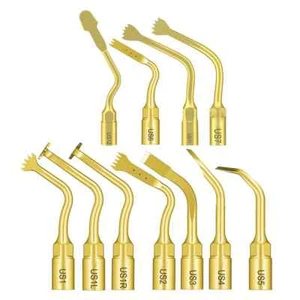 1 pieza Puntas de cirugía ósea ultrasónica Dental Piezoescalador Ajuste NSK Pájaro carpintero 666 - Imagen 1 de 45