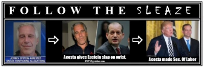 anti Trump: FOLLOW THE SLEAZE- Epstein/Acosta/Trump  political bumper sticker  - Image 1 of 4