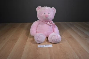 Baby Ganz My First Teddy Pink Bear Beanbag Plush(310-2483-2) - Picture 1 of 8