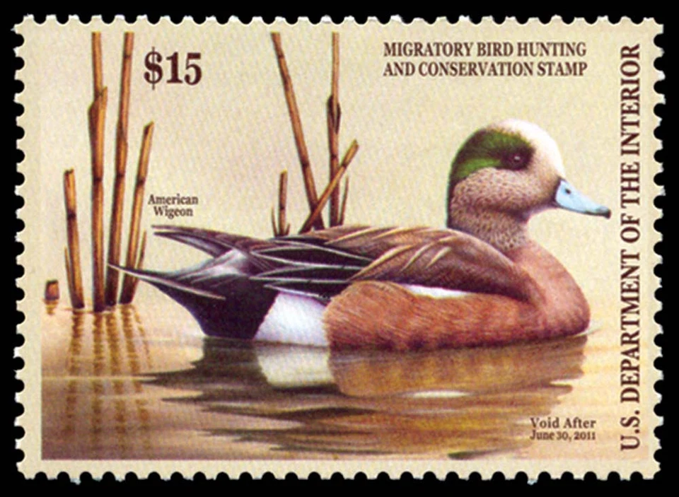 RW77 — 2010 Federal duck stamp - Image 1 of 1
