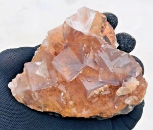 Spécimen rare de Fluorine fantôme et Calcite du Pakistan/346 grammes(collection) - Picture 1 of 7