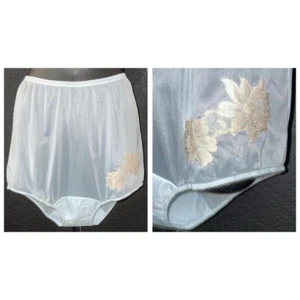 Vintage 1950's VANITY FAIR Baby Blue & Ecru Lace Classic Nylon Panties 6 - Picture 1 of 6