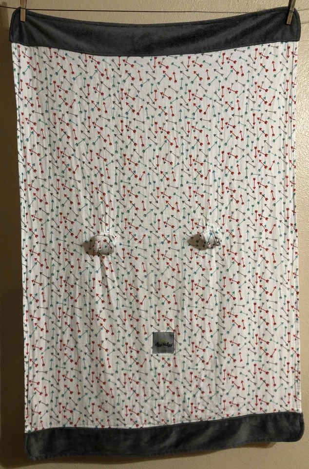 Cubierta de dosel Itzy Ritzy Cozy Happens para asiento de coche infantil muselina gris rojo verde azulado flechas Foto 1 de 4