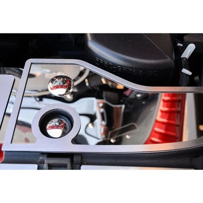 Placa de cabezal embellecedor cepillado para Ford Mustang V6/GT 2015-2016 [ino inoxidable/pulido] Foto 1 de 4