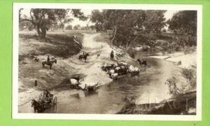 #H. MODERN GRACE REMOVALS POSTCARD - WALLA WALLA STATION, RIVERINA 1901 - Picture 1 of 2