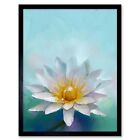 Flower Lotus Painting 12X16 Inch Framed Art Print