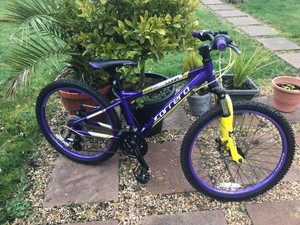 carrera luna purple and yellow