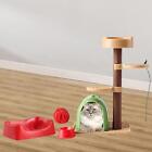 Cadre d'escalade pour chat Miniature, ensemble de jeu, jouets cognitifs pour
