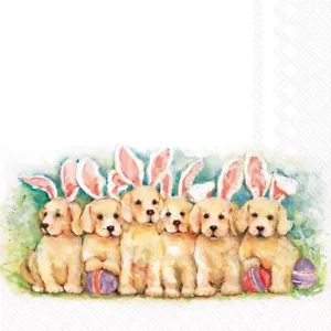 IHR 3 Strati Tovaglioli di Carta, Dimensione Pranzo 20 Pezzi, Candy Dogs - Foto 1 di 2