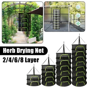 Red de secado de hierbas de 2/4/6/8 capas flores planta secador colgante bolsa malla - Imagen 1 de 22