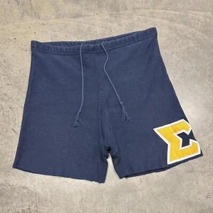 VTG 90s Champion Reverse Weave University of Michigan Cutoff Sweat Shorts Mens L - Picture 1 of 7