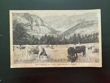 CARTOLINA PRA CATINAT MANDRIA PROP. Clapier VIAGGIATA 1953 99