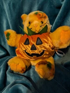 Build A Bear Halloween Pumpkin Kitty w/Pumpkin Costume Vault Collection 2024 - Picture 1 of 5
