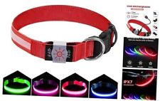  LED Dog Collar, USB Rechargeable Light Up Dog Collars, Adjustable Large Red