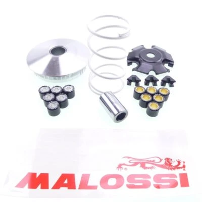 Variomatik Malossi Multivar Variator für Piaggio 125 150 Leader Motor 4-Takt - Bild 1 von 4