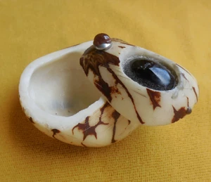Onyx Tagua Nut Stash Palm Ivory Pill Ring Keepsake Box Trinket Case Cruelty Free - Picture 1 of 10