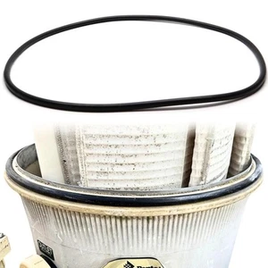 39010200 O-497 O-Ring per Pentair Clean Clear Plus 320/420/520 FNS 24/36/48/90 - Foto 1 di 6