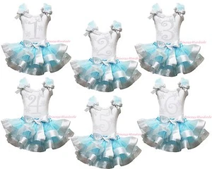 Snowflakes Birthday 1ST 2ND 3RD Top Blue Silver Satin Trim Skirt Girl Set NB-8Y - Picture 1 of 9