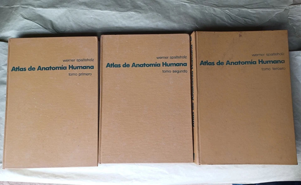 Atlas De Anatomia Humana by W. Spalteholz Volumes 1-3 Spanish 1973 Sixth Edition - Image 1 of 4