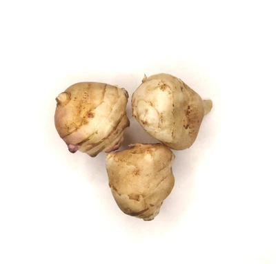 3 seeds of Jerusalem Artichoke Sunchoke Sunroot -NON-GMO Organic Ship Fast! - Image 1 of 2
