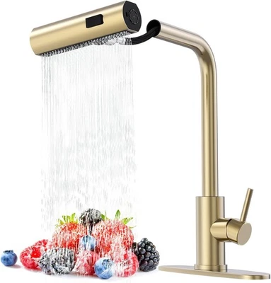 BRANDED FORIOUS Gold Kitchen Faucet, Kitchen Faucets with Pull Down Sprayer, Brushed ...